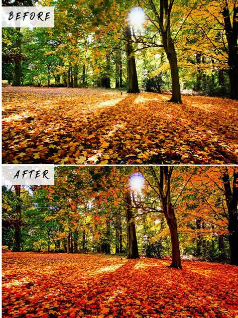 Autumn Lightroom Presets Vsco Filters Portrait Preset Fall Etsy