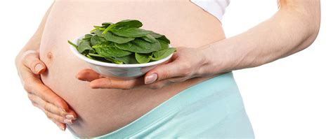 Andranno aumentati proporzionalmente alla norma per colmare il divario energetico tenendo conto del fabbisogno proteico. Dieta in Gravidanza - Alimentazione e il suo ruolo in ...