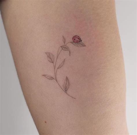 pin de joana gonzales em tatu em 2023 tatuagem de joaninha frases para tatuagem feminina