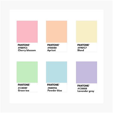Rainbow Hex Aesthetic Pastel Color Palette Marian What