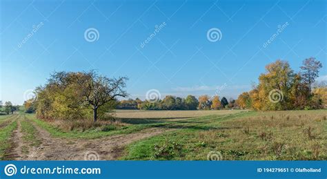 Autumnal Rural Countryside With Fall Foliage Trees Meadow Grass And