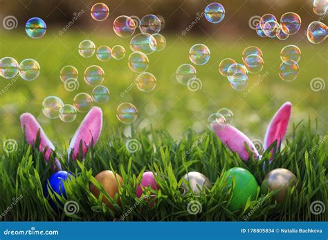Festive Easter Card With Shiny Soap Bubbles Flying Over Multicolored