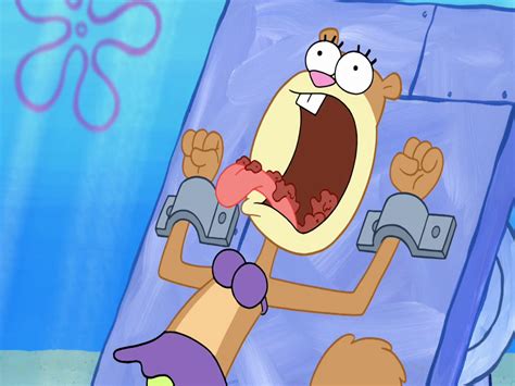 Spongebuddy Mania Spongebob Episode Squirrel Record