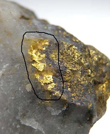 Marin Mineral Company Gold