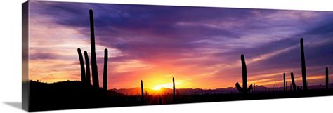 Desert Sunset Saguaro National Park Az Wall Art Canvas Prints Framed