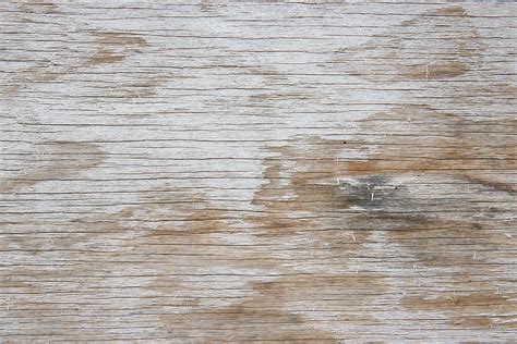 Old Painted Grey Wood Background Texture Photo