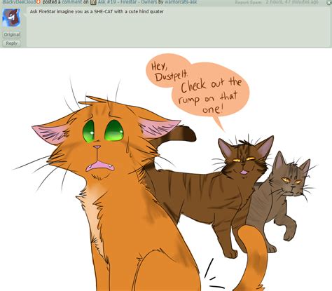 Ask 20 Firestar Booty For Days By Warriorcats Ask On Deviantart