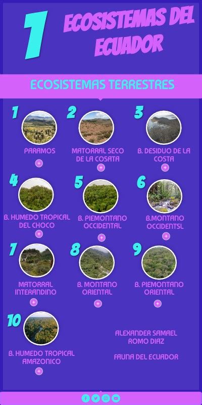 Infografia Sobre Los Ecosistemas Del Ecuador The Best Porn Website