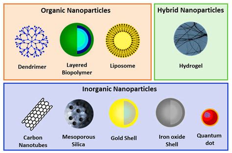 Schematic Representation Of Different Types Of Nanoparticles Nps