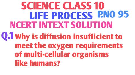 Why Is Diffusion Insufficient To Meet The Oxygen Requirements Of