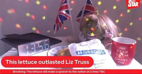 Liz Truss Vs Lettuce A Vegetable Outlasted The British Prime Minister On A Livestreaming Battle