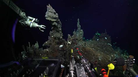 Unexplored Ocean Depths In Extreme Life Conditions Wordlesstech
