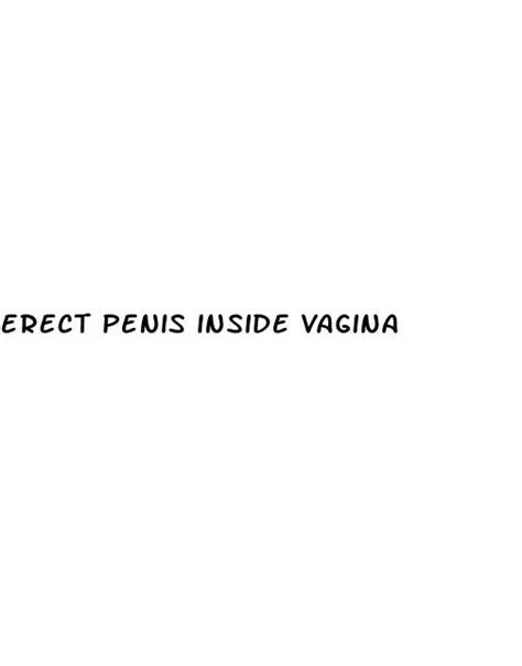 Erect Penis Inside Vagina