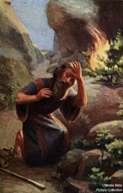 exodus 4 bible pictures moses and the burning bush