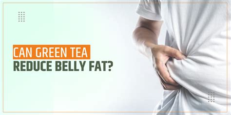 Can Green Tea Reduce Belly Fat Shuddhi Ayurveda