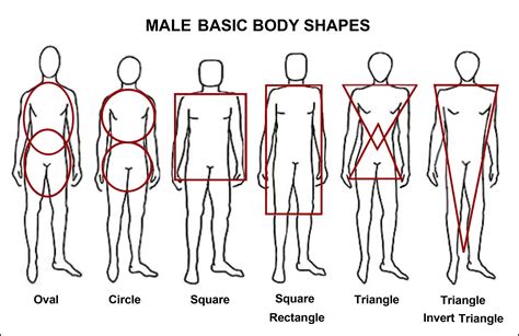 Pin By Sleepy And Chaotic On Writing Prompts Male Body Shapes Body Type Drawing Body Shape