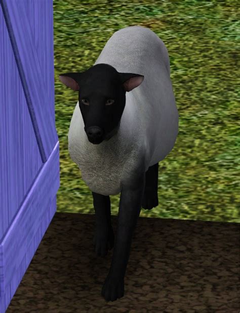Mod The Sims Sheep For Your Sims Sort Of
