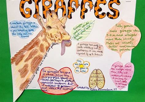 Animal Facts Giraffes African Art Projects Animal Art Projects Science Poster
