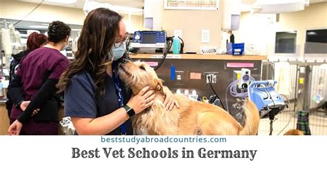 The 5 Best Vet Schools In Germany To Get Into With Key Facts