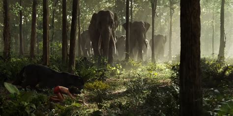 The Jungle Book Is A Stunning Visual Experience Like Nothing Youve