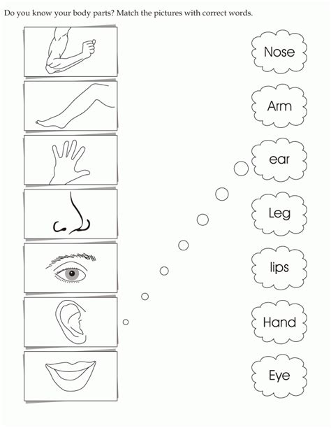 Body Parts Worksheet Coloring Pages