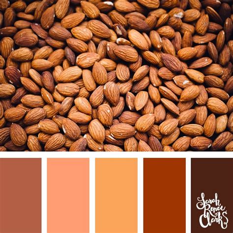 25 Color Palettes Inspired By Pantone Autumnwinter 2019 Color Trends