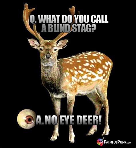 Deer Jokes Reindeer Humor Bucked Up Puns 9