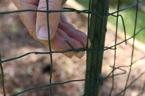 Ways To Keep Animals Out Of Your Garden Build A Simple Fence 1 More Than 2