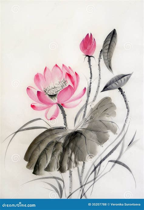 Watercolor Painting Of Lotus Flower Stock Illustration Illustration