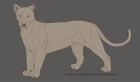 Free Lioness Lineart By Bloodmoonadopts On Deviantart