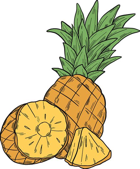 Pineapples Clipart Free Download Transparent Png Crea