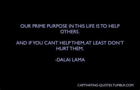 Quotes About Life Hacks. QuotesGram