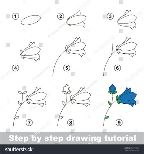 Https://techalive.net/draw/how To Draw A Bluebell