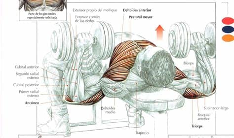 Tanto en casa como en el parque como en cualquier otro lugar. FitnessmanXXI