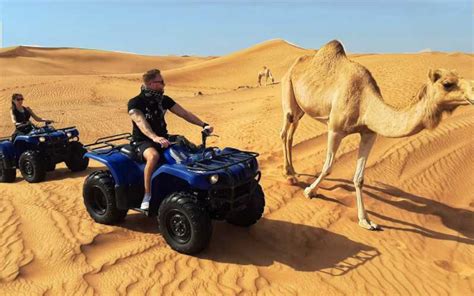 From Dubai Morning Atv Quad Biking Desert Safari Adventure Getyourguide