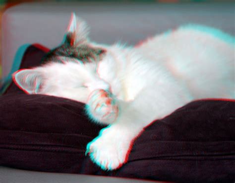 Our Cat Patch Anaglyph Patch 3d Ttw Anaglyph Stereo Redcy Flickr