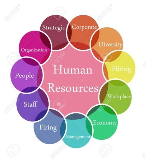 Diagram Of Human Resource Management