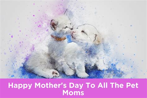 Happy Mothers Day To All The Pet Moms You Count To