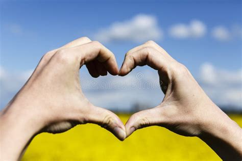 Love Shape Hands Heart On Yellow Field And Blue Sky Stock Image