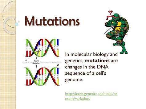 Ppt Mutations Powerpoint Presentation Free Download Id3749401