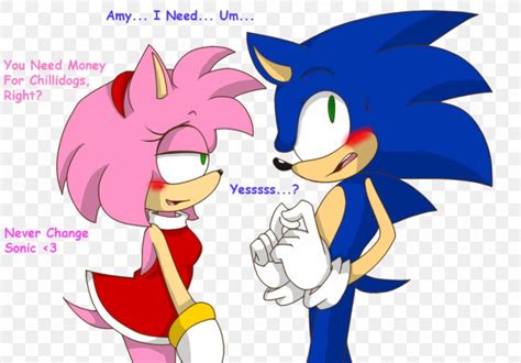 amy rose knuckles the echidna sonic the hedgehog sonic x mario and sonic at the olympic winter