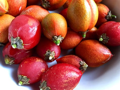 Tropical Taste Of Hawaii The Peculiar Peanut Butter Fruit Dengarden