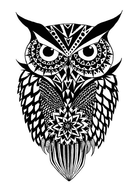 Black And White Owl Owls Adult Coloring Pages