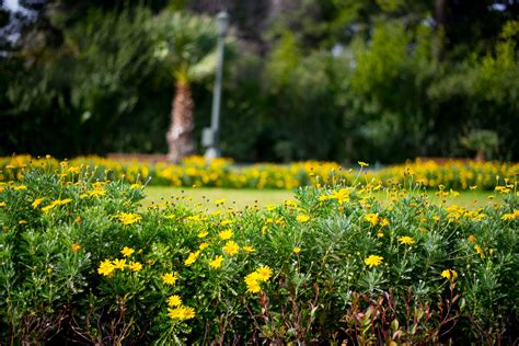 Take a stroll in the National Garden of Athens | Discover Greece