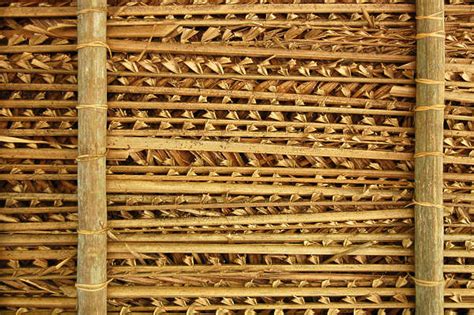 Thatched0047 Free Background Texture Roof Roofing Tropical Hut