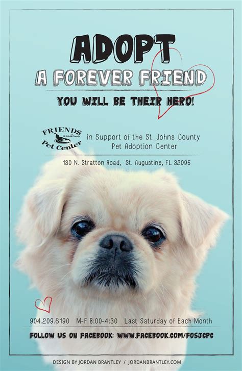 Pet Adoption Poster Design By Jordan Brantley Pet Adoption Shelter