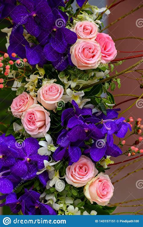 Vanda Orchids And Pink Roses Bouquet Stock Image Image