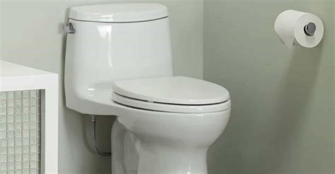 7 Best Flushing Toilets In 2023 Detailed Reviews They Flush