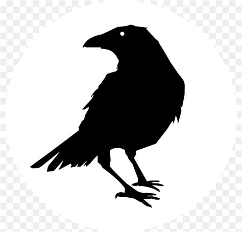 Crow Vector Png PNGrow