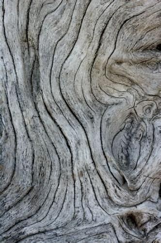 Natural Wood With Grey Textures Organic Forms Woodgrain Line